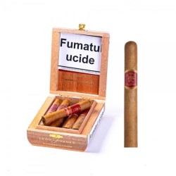 La Aurora Leon Jim Petit Corona (10)