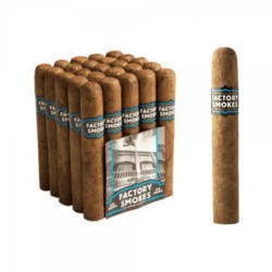 Drew Estate Factory Smokes Sun Grown Gordito (25)