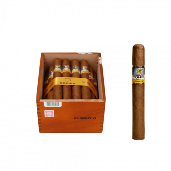 Cohiba Siglo VI (25)