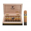 Cohiba Siglo De Oro (18)