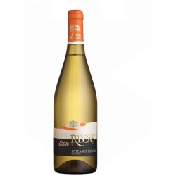 CASTEL HUNIADE FETEASCA REGALA