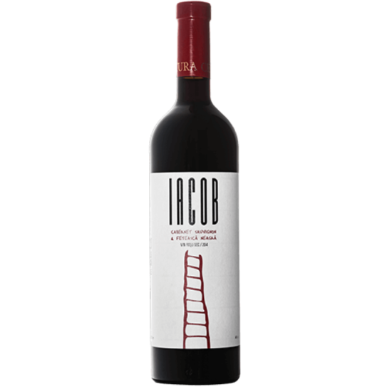 Davino Iacob Rosu