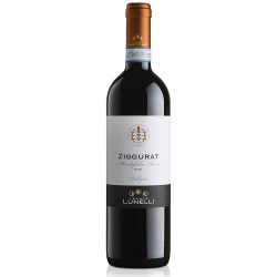 Tenute Lunelli Ziggurat Montefalco Rosso