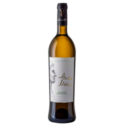 Anca-Maria Tamaioasa