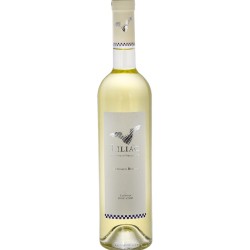 Liliac Feteasca Regala